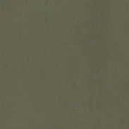 PANTALONE IN CANVAS DI COTONE TINTO PEZZA - OLIVA sold by Aspesi product image thumbnail 5