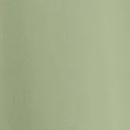 CAMICIA IN CREPE DE CHINE SETA - VERDINO sold by Aspesi product image thumbnail 5