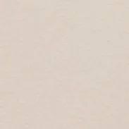 POLO A MANICA CORTA IN JERSEY DI COTONE - SABBIA sold by Aspesi product image thumbnail 5