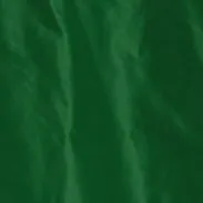 GONNA A PORTAFOGLIO IN TESSUTO TECNICO - VERDE sold by Aspesi product image thumbnail 5