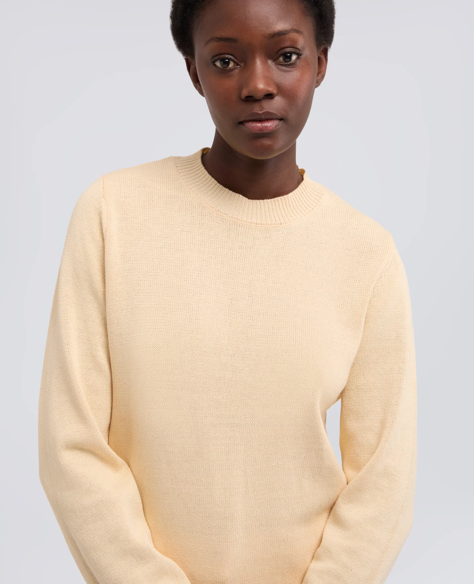 MAGLIA GIROCOLLO A MANICHE LUNGHE IN COTONE - NATURALE sold by Aspesi product image thumbnail 4