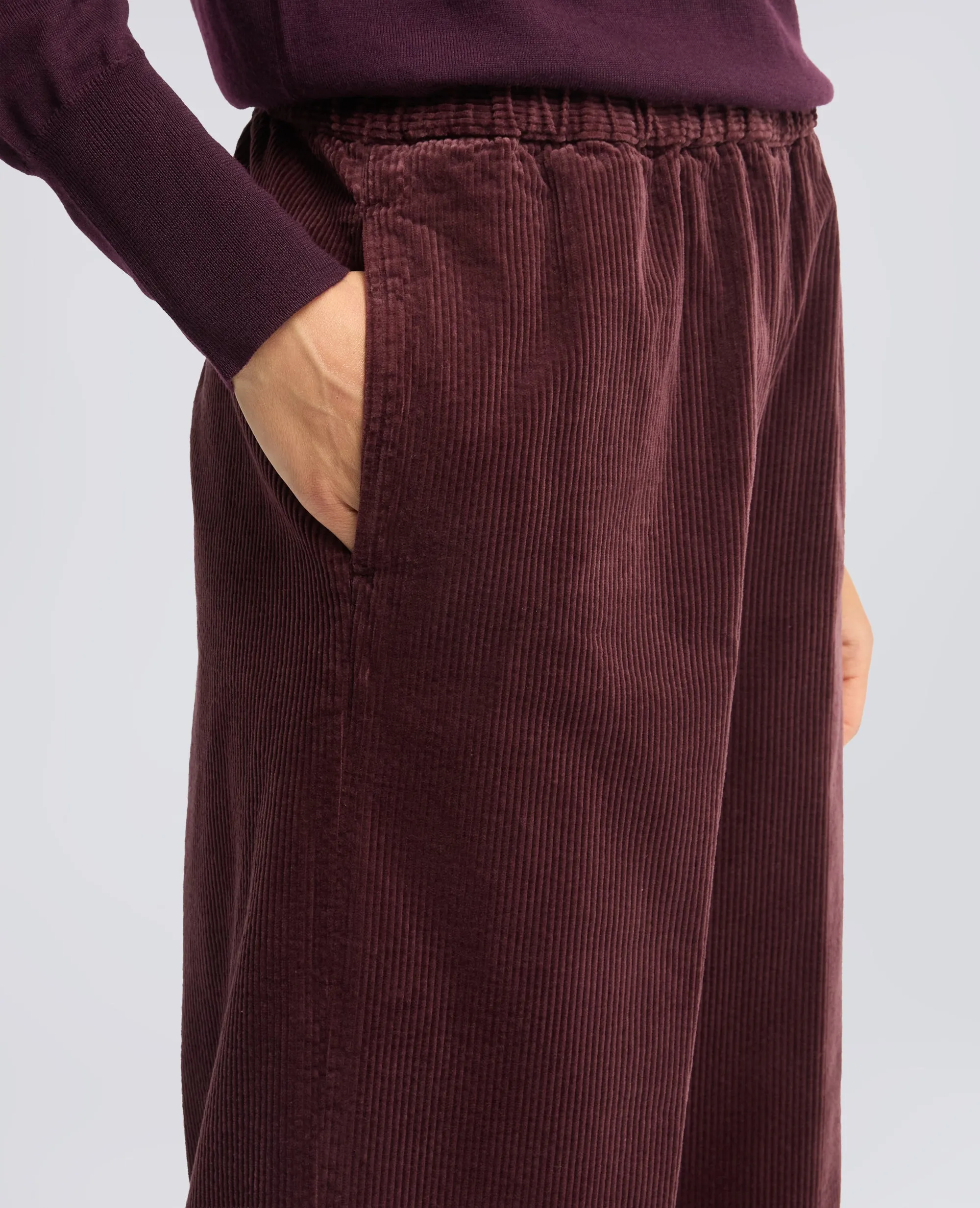 PANTALONE IN VELLUTO A COSTE CON ELASTICO - BARBERA sold by Aspesi product image thumbnail 4