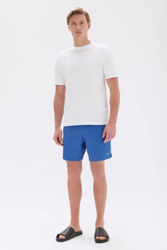 Seth Swim Short sold by Assembly Label