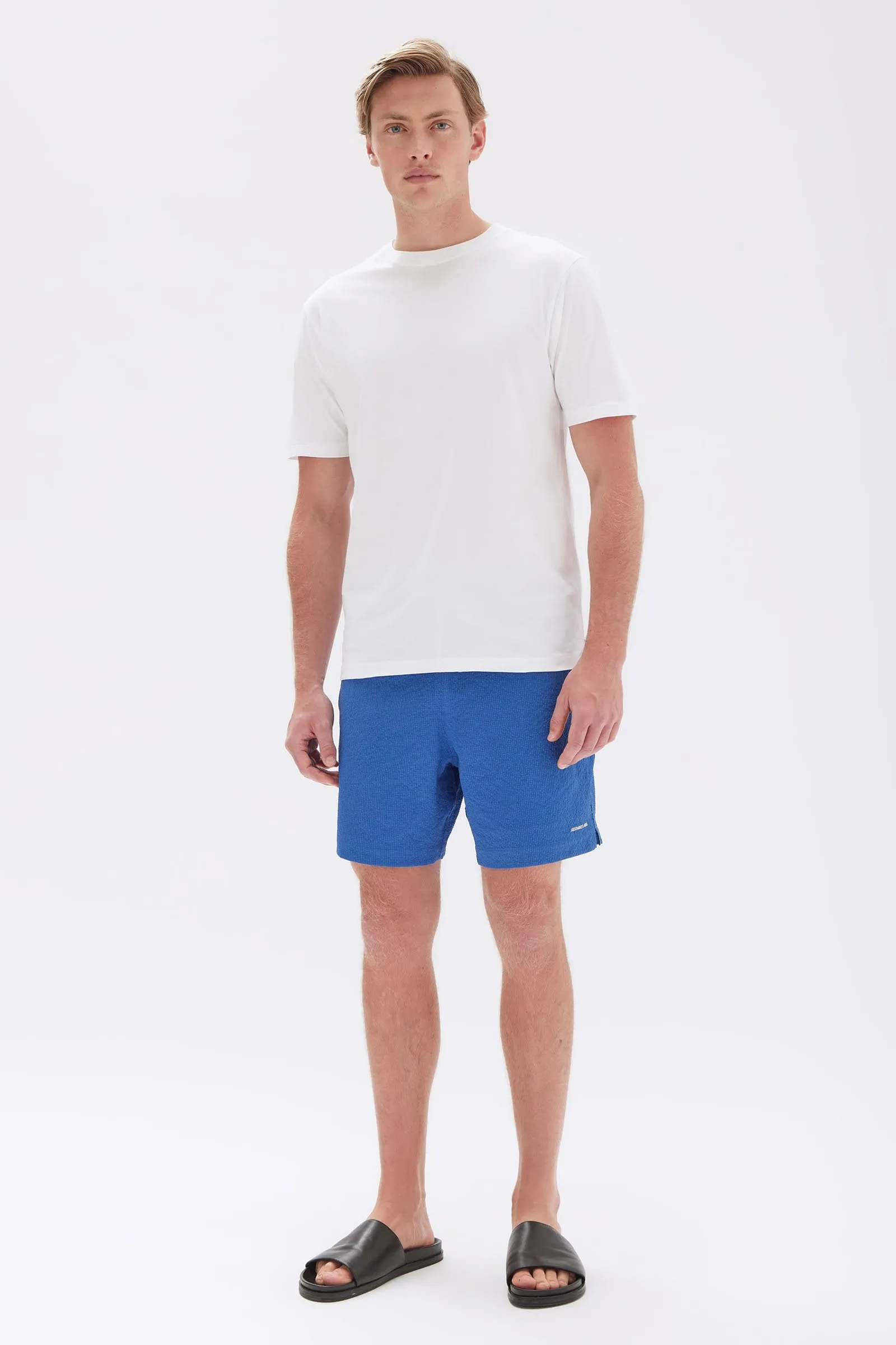Seth Swim Short sold by Assembly Label