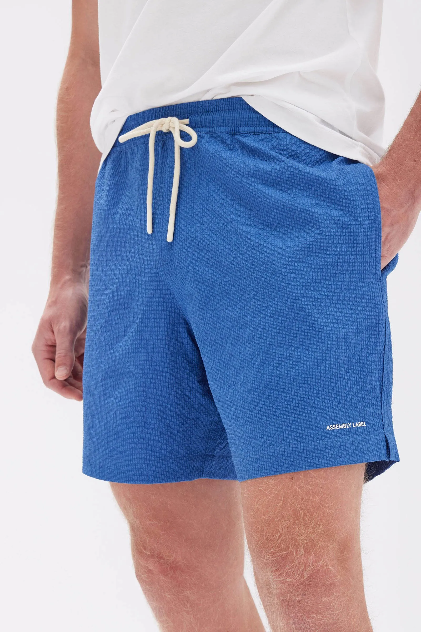 Seth Swim Short sold by Assembly Label product image thumbnail 3