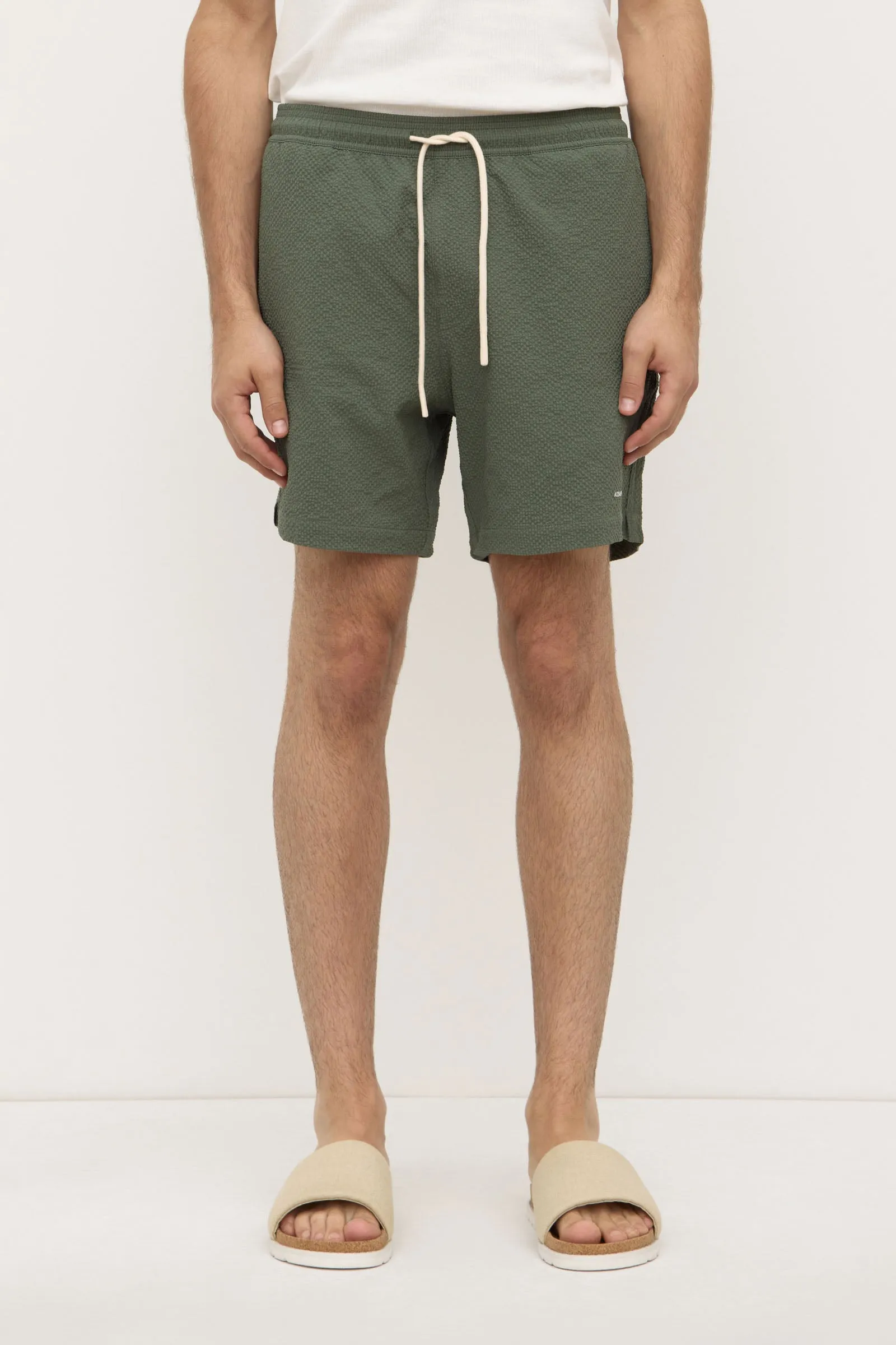 Seth Swim Short sold by Assembly Label product image thumbnail 2