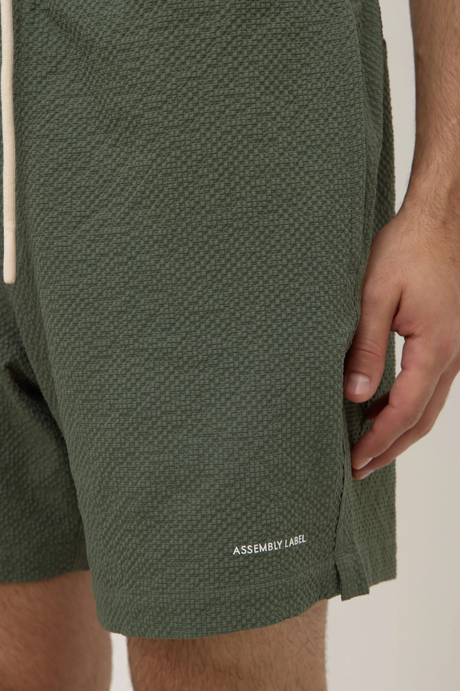 Seth Swim Short sold by Assembly Label product image thumbnail 5