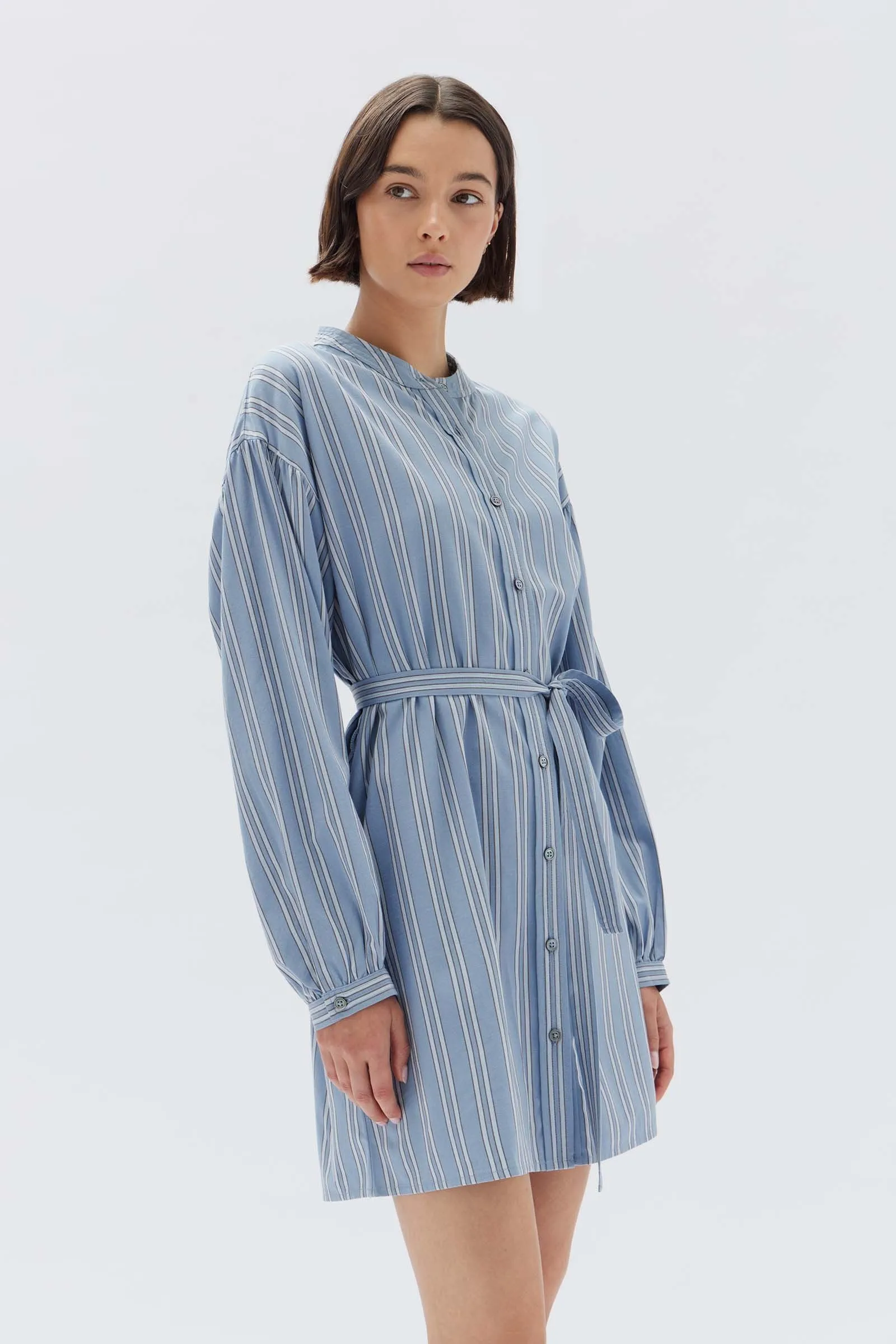 Luna Stripe Mini Dress sold by Assembly Label product image thumbnail 3
