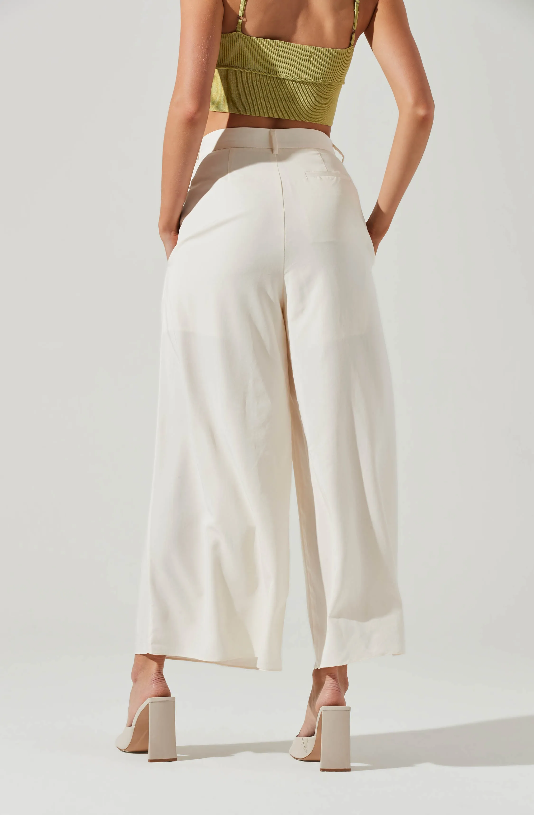 Pleated Front Wide Leg Trouser sold by Astr product image thumbnail 3
