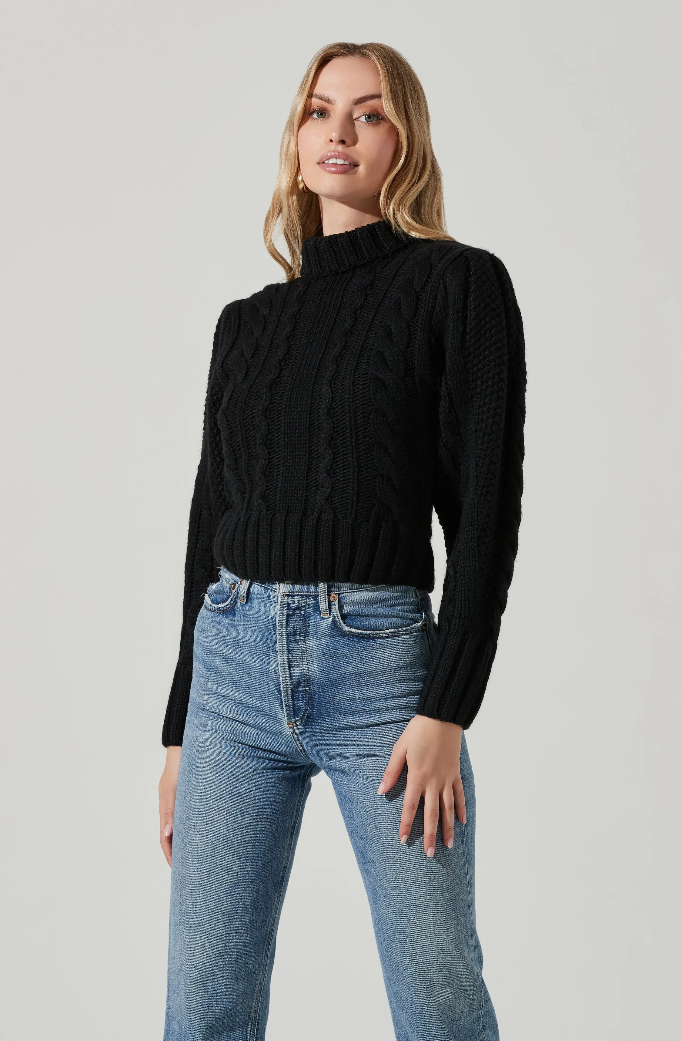 Haisley Cable Knit Turtleneck Sweater sold by Astr product image thumbnail 4