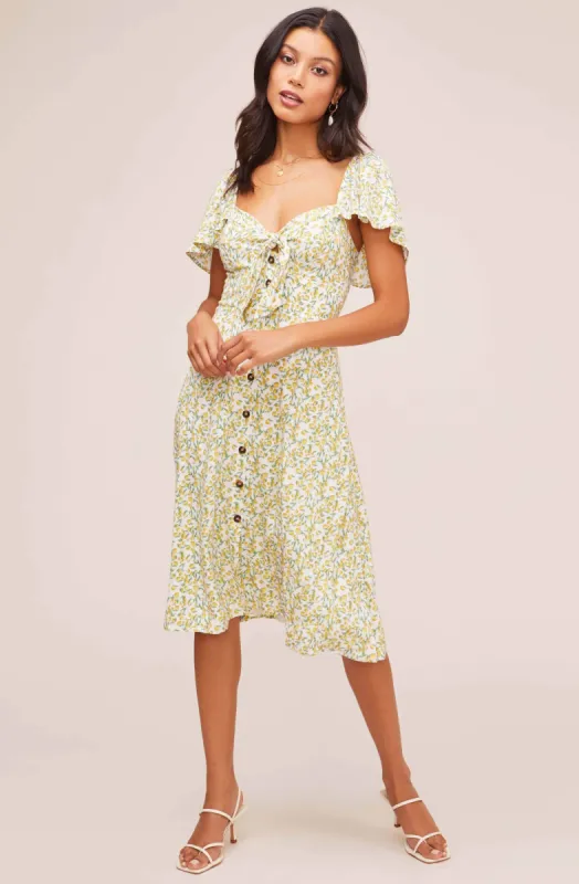 Rachelle Print Midi Dress sold by Astr