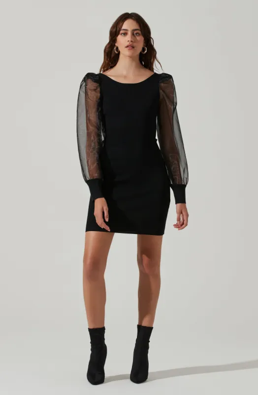 Organza Long Sleeve Mini Dress sold by Astr
