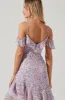 Pemberley Floral High Low Dress sold by Astr