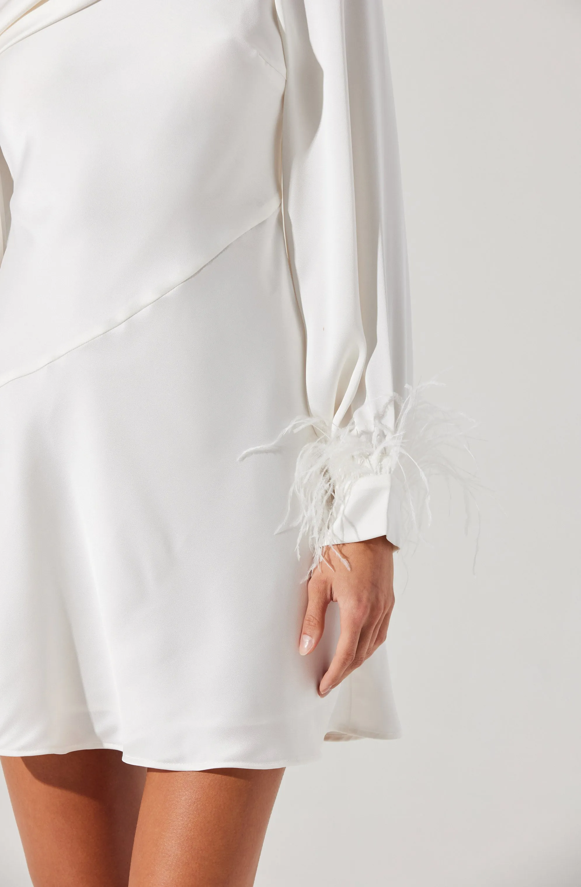 Augusta Feather Trim Mini Dress sold by Astr product image thumbnail 3