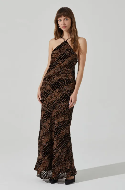Briotte Velvet Burnout Maxi Dress sold by Astr