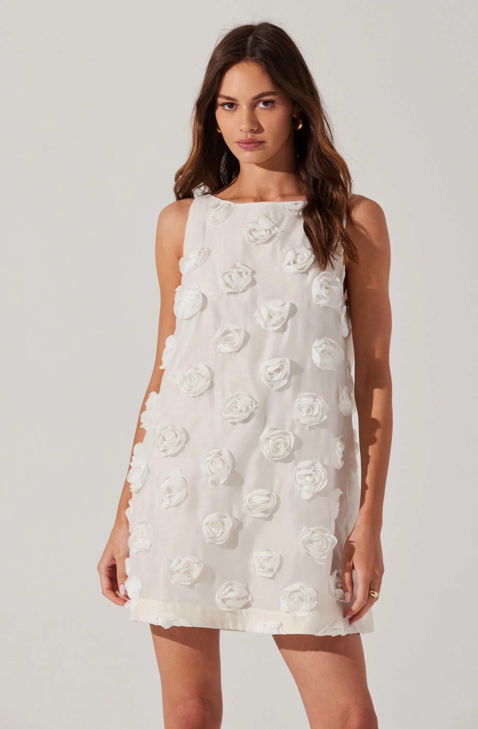 Floria 3D Floral Appliqué Dress sold by Astr product image thumbnail 2