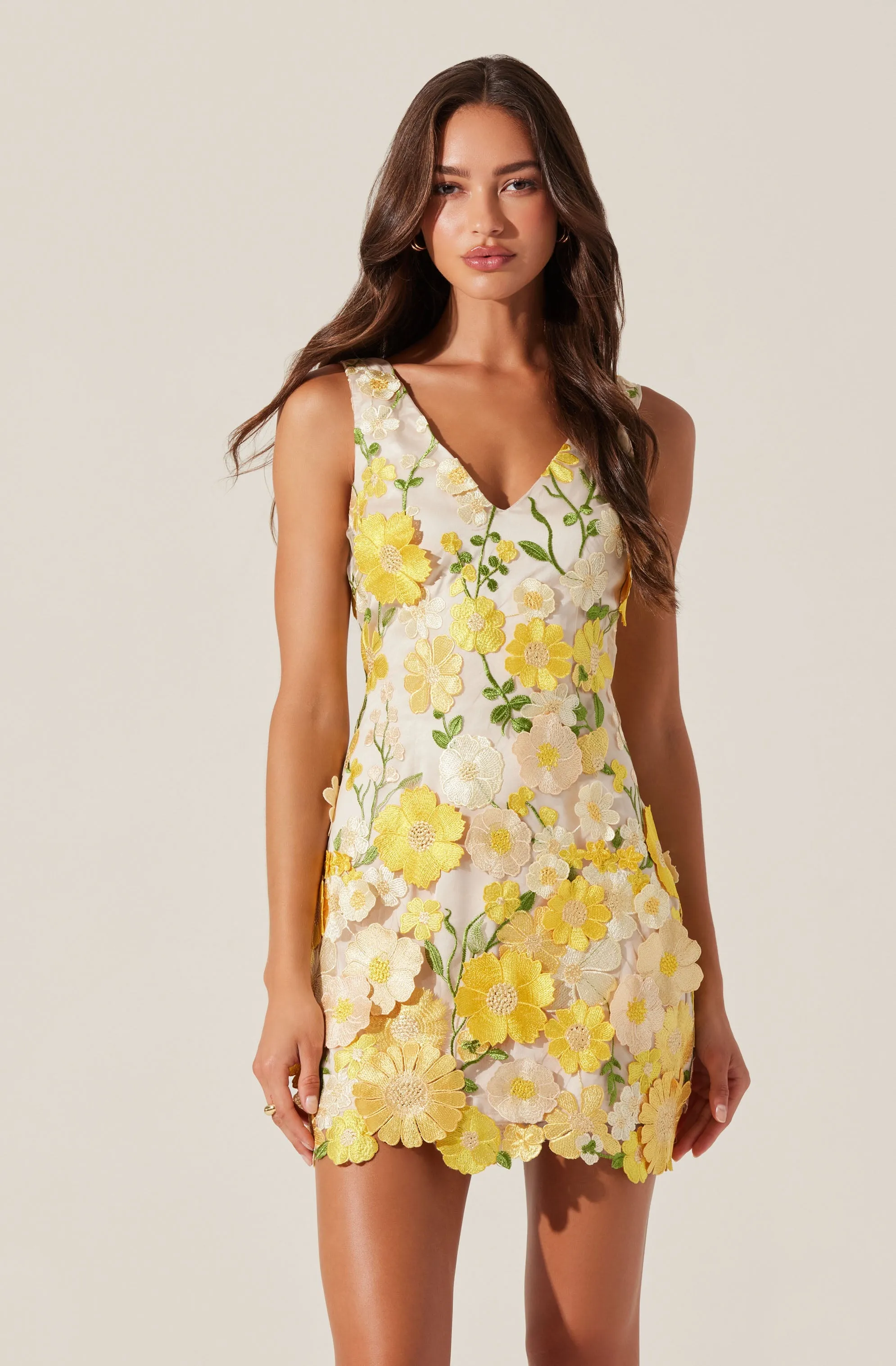 Aisha Floral Appliqué Mini Dress sold by Astr product image thumbnail 2