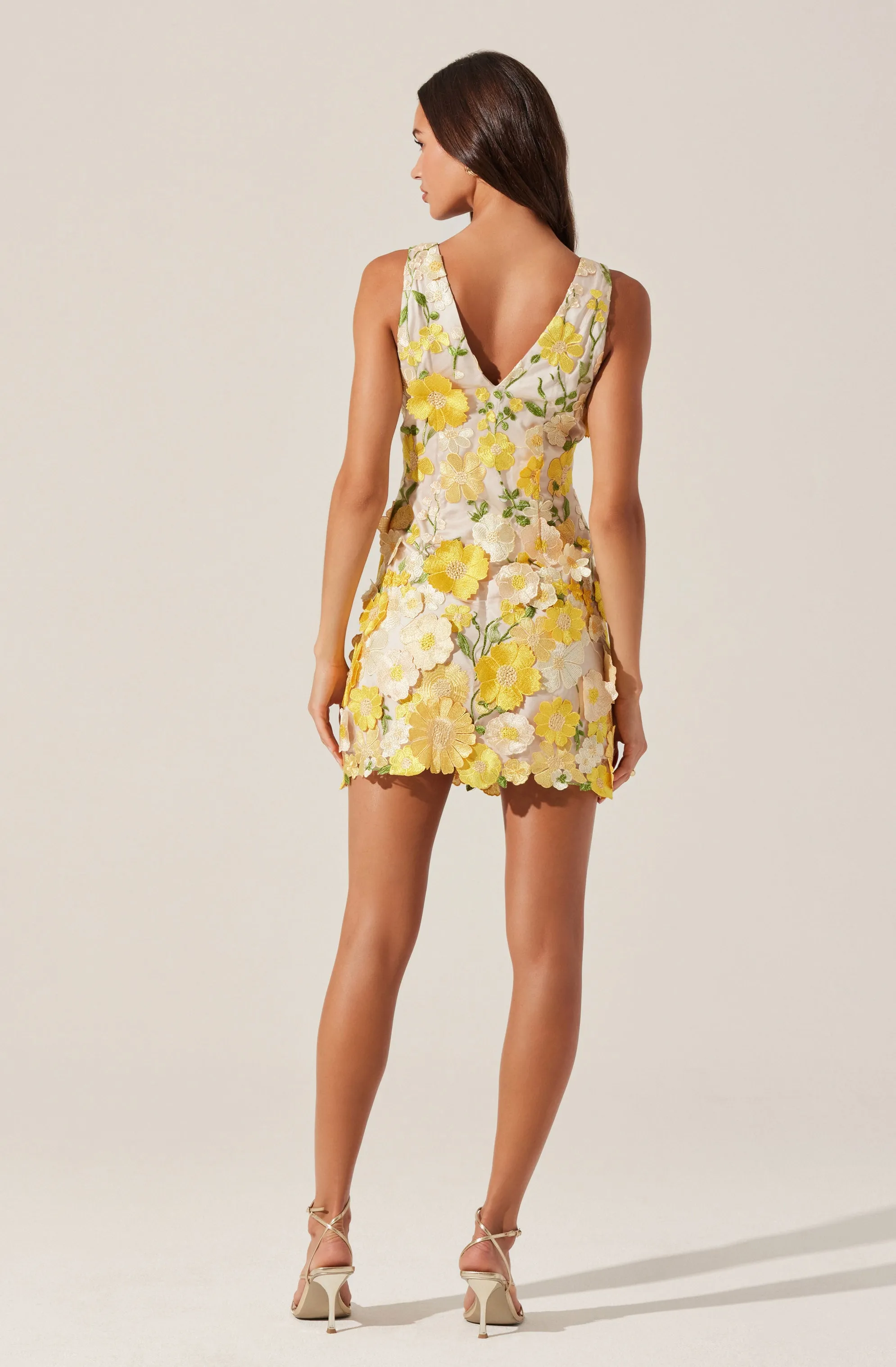 Aisha Floral Appliqué Mini Dress sold by Astr product image thumbnail 5