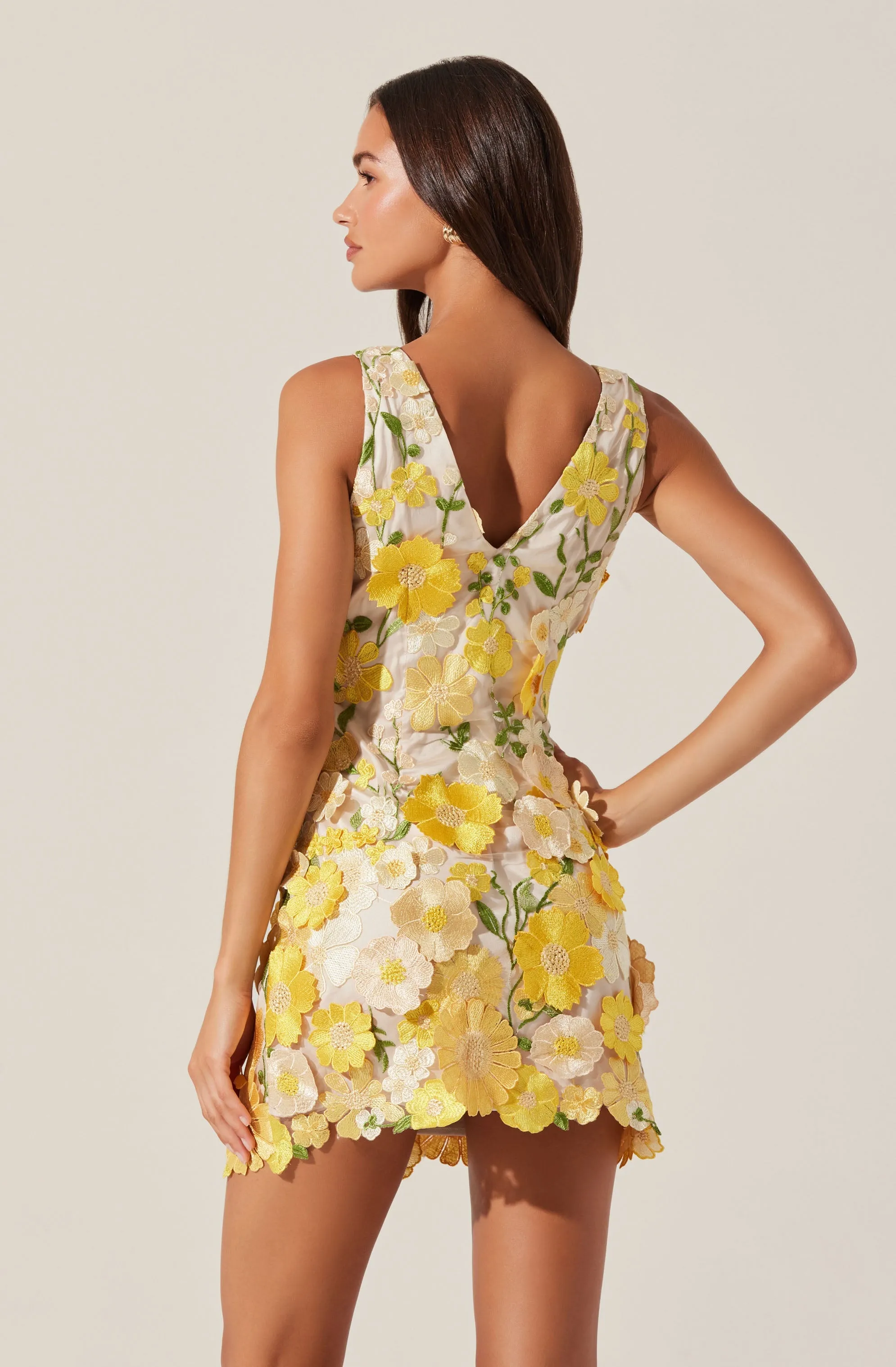 Aisha Floral Appliqué Mini Dress sold by Astr product image thumbnail 4