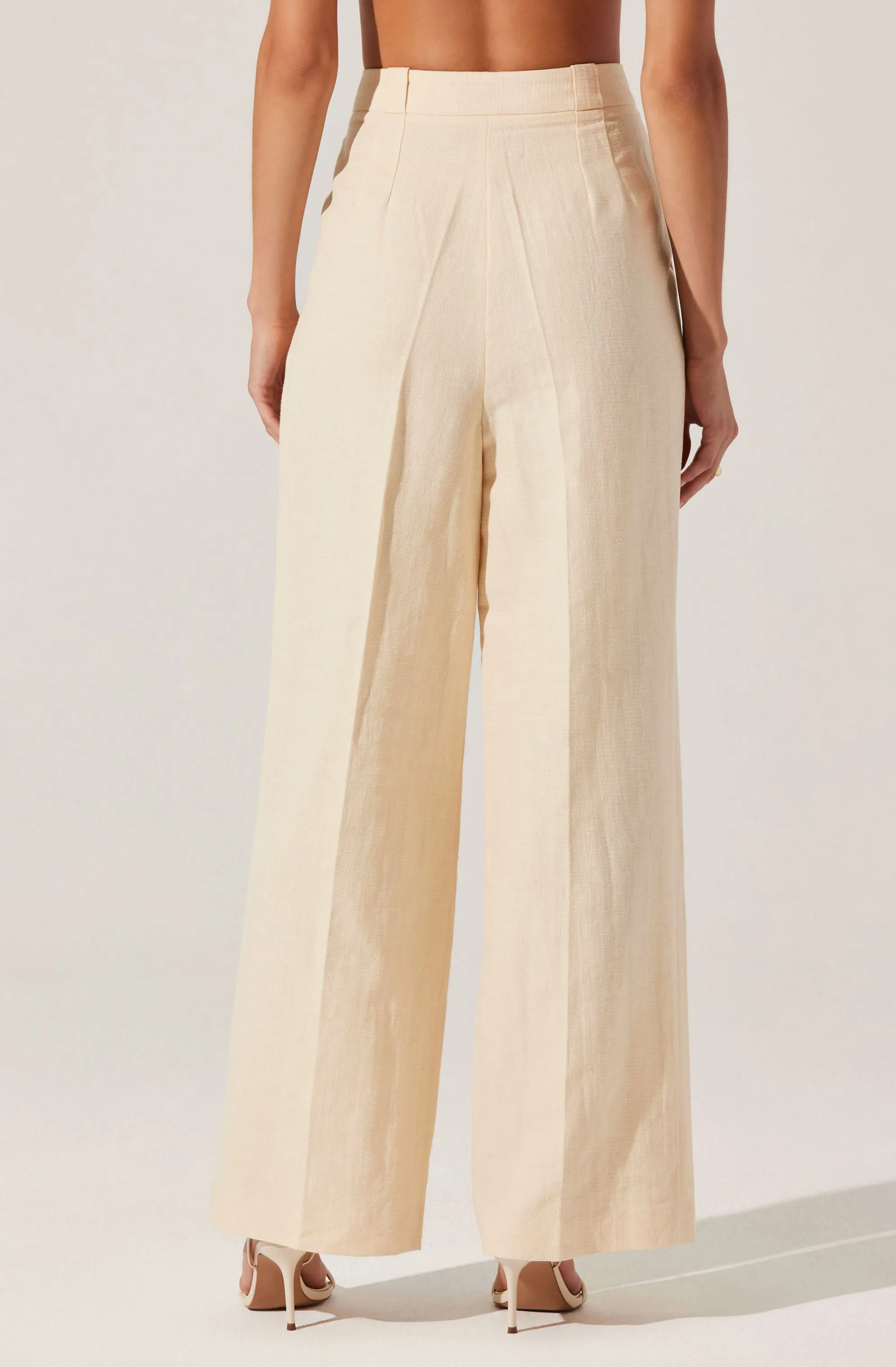 Bryony Linen Blend Pleated Pants sold by Astr product image thumbnail 3