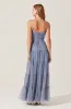 Mireya Bustier Tulle Maxi Dress sold by Astr