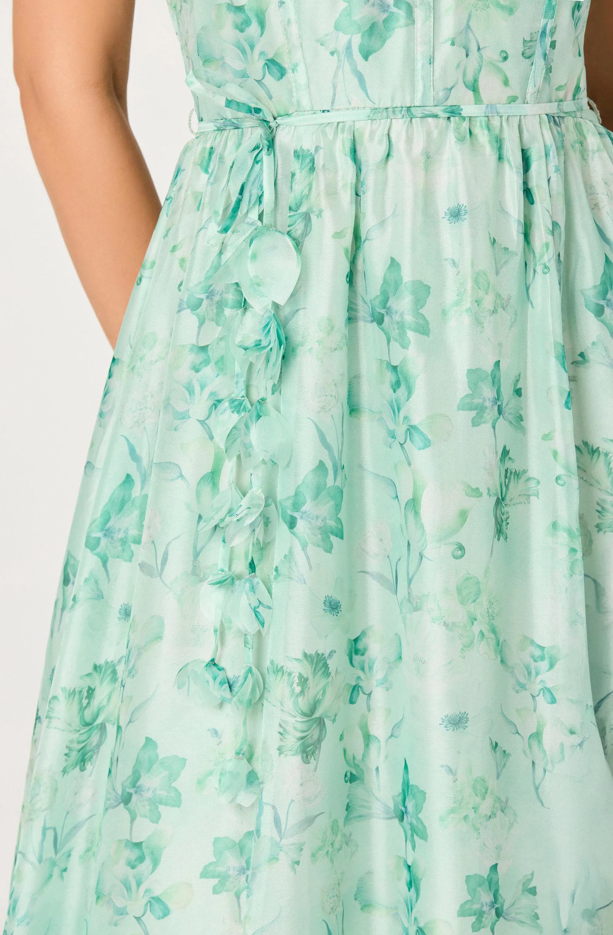 Halcyon Floral 3D Flower Appliqué Midi Dress sold by Astr product image thumbnail 4