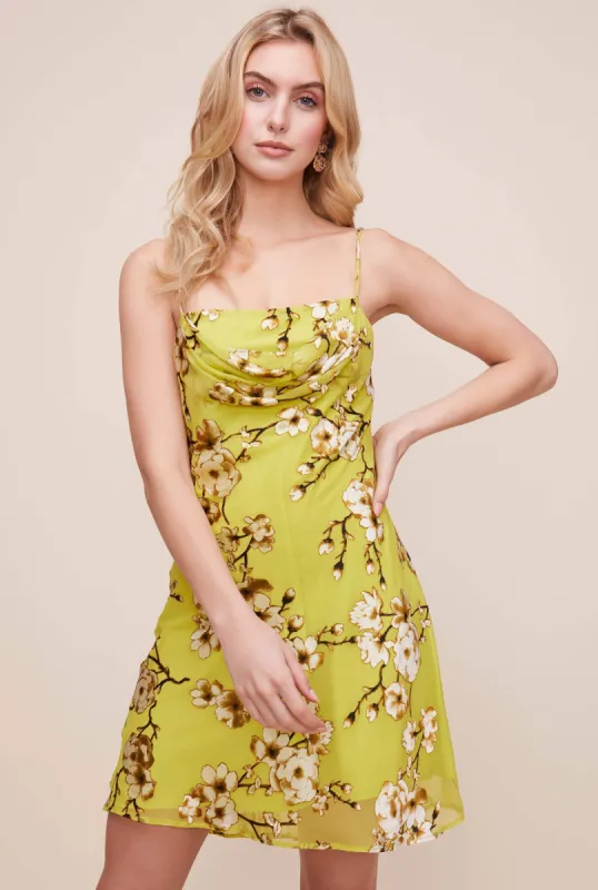 Lark Floral Mini Dress sold by Astr