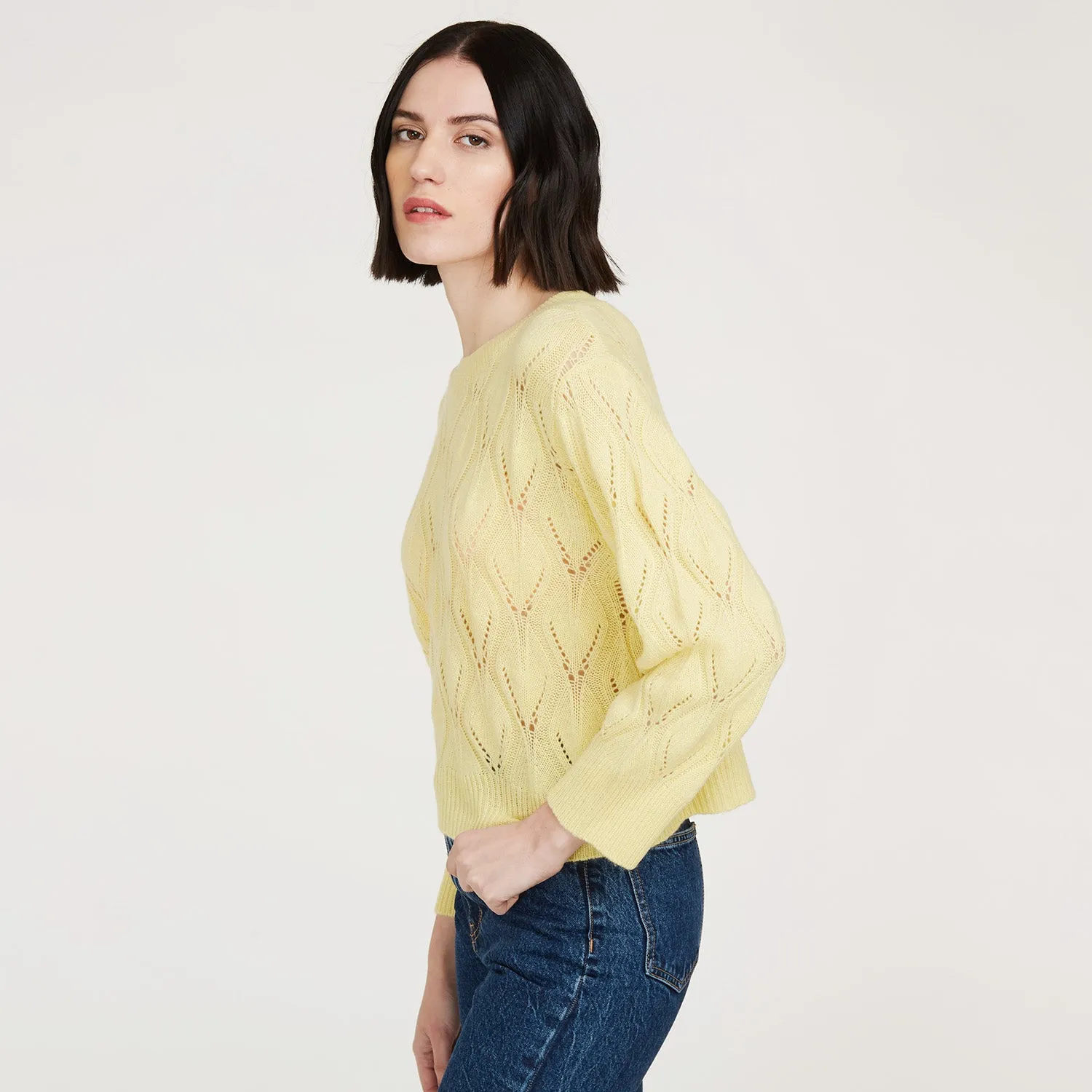 Leaf Pointelle Cropped Boxy Crew in Banana sold by Autumn Cashmere product image thumbnail 3