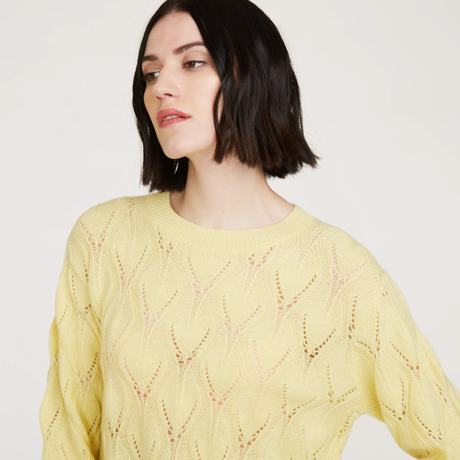 Leaf Pointelle Cropped Boxy Crew in Banana sold by Autumn Cashmere product image thumbnail 2