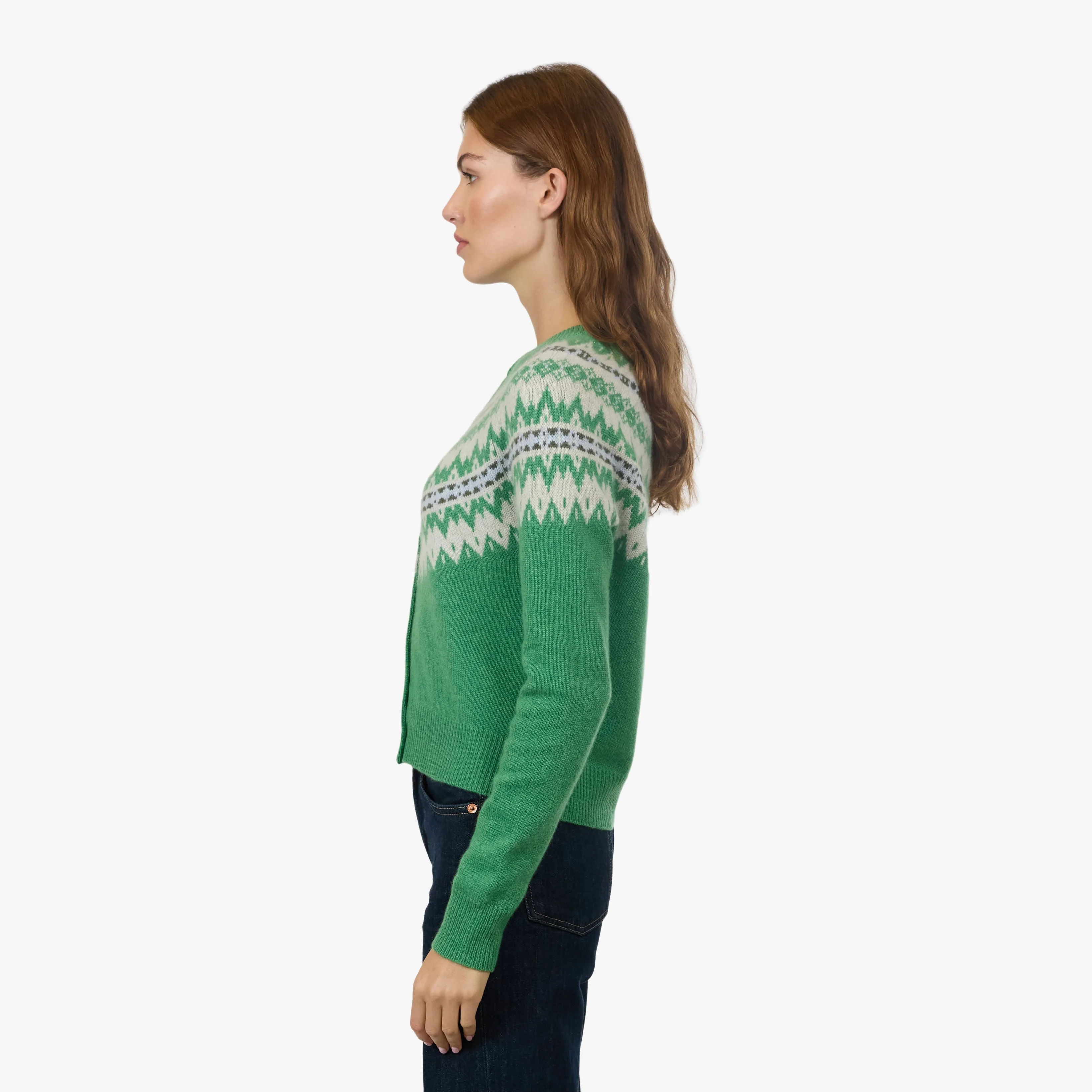 Crew Neck Cardi W/ Fair Isle in Foliage Combo sold by Autumn Cashmere product image thumbnail 4