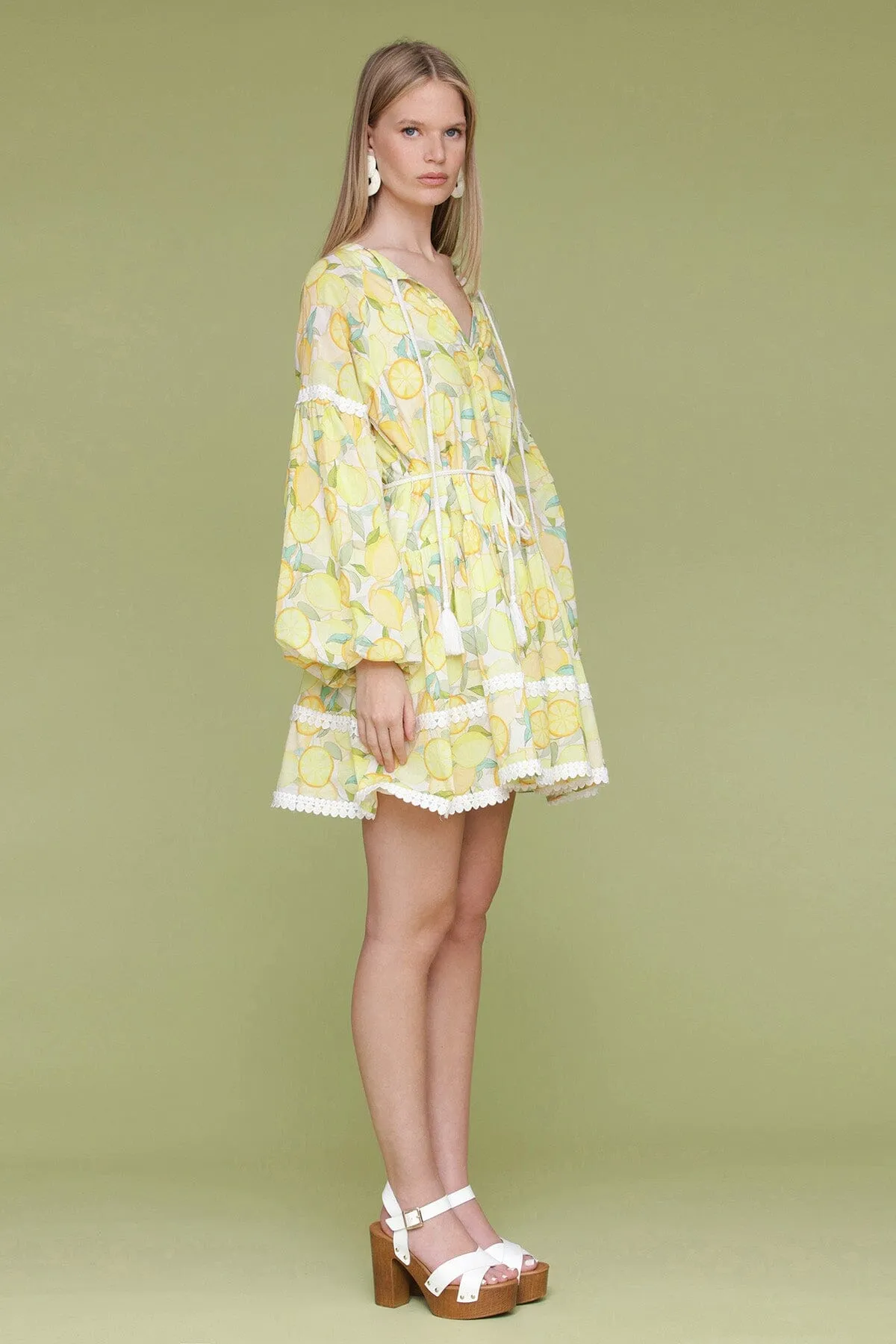 Printed Cotton Prairie Mini Dress sold by Avec Les Filles product image thumbnail 5