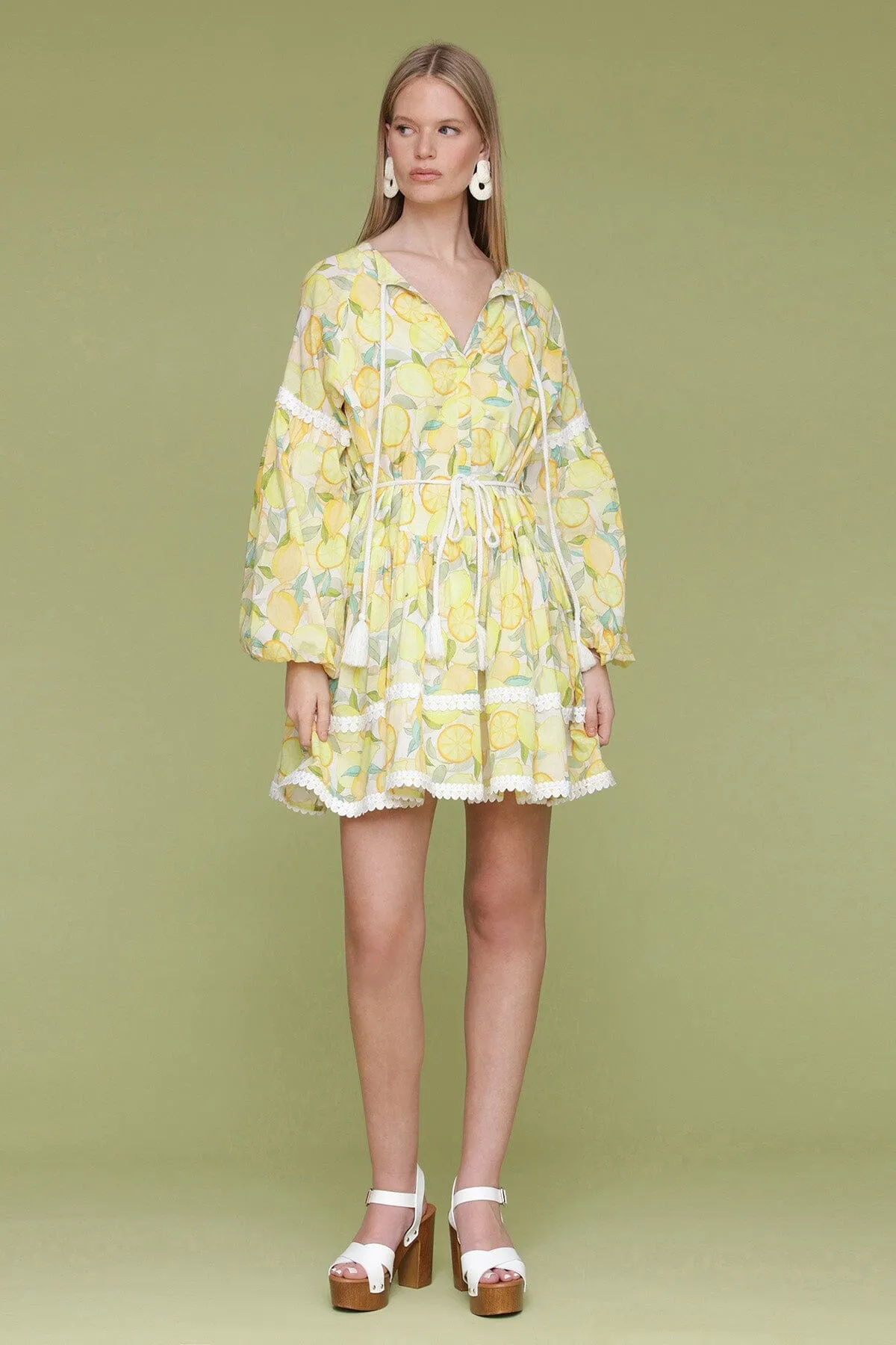 Printed Cotton Prairie Mini Dress sold by Avec Les Filles product image thumbnail 4