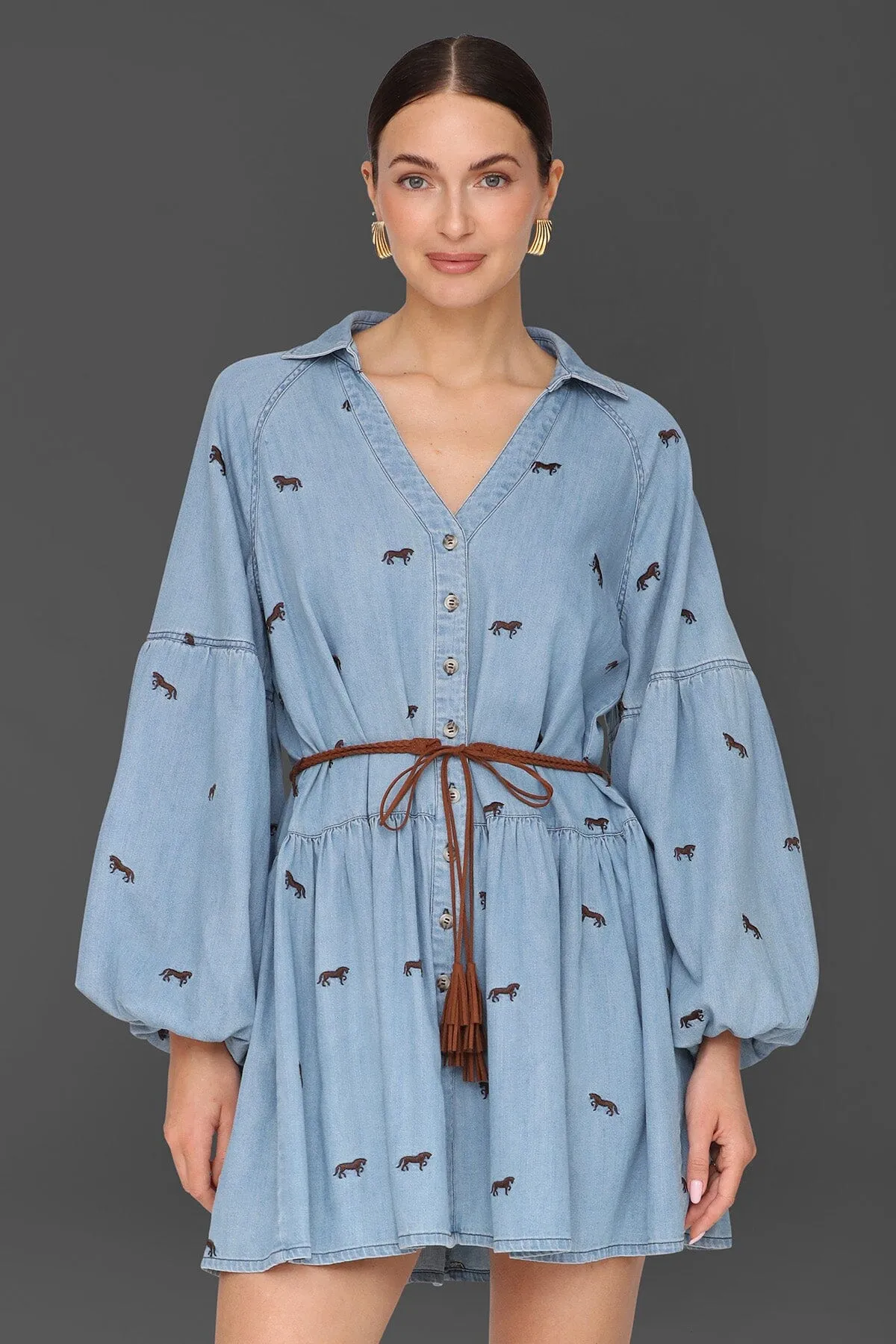 Equine Embroidered Cotton Mini Dress sold by Avec Les Filles product image thumbnail 3