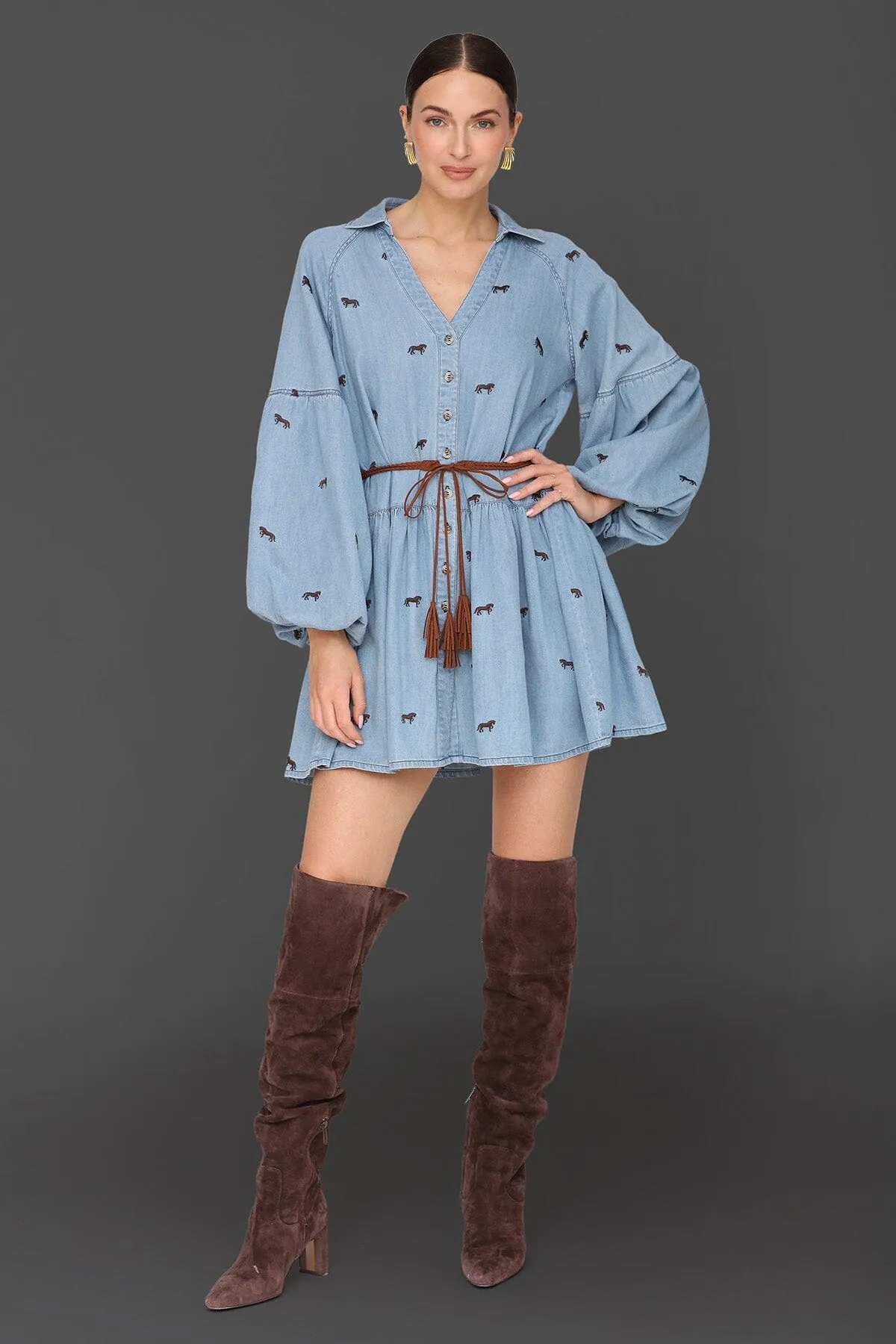 Equine Embroidered Cotton Mini Dress sold by Avec Les Filles product image thumbnail 4