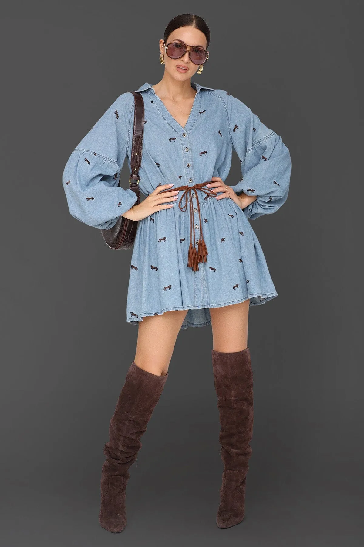Equine Embroidered Cotton Mini Dress sold by Avec Les Filles product image thumbnail 2