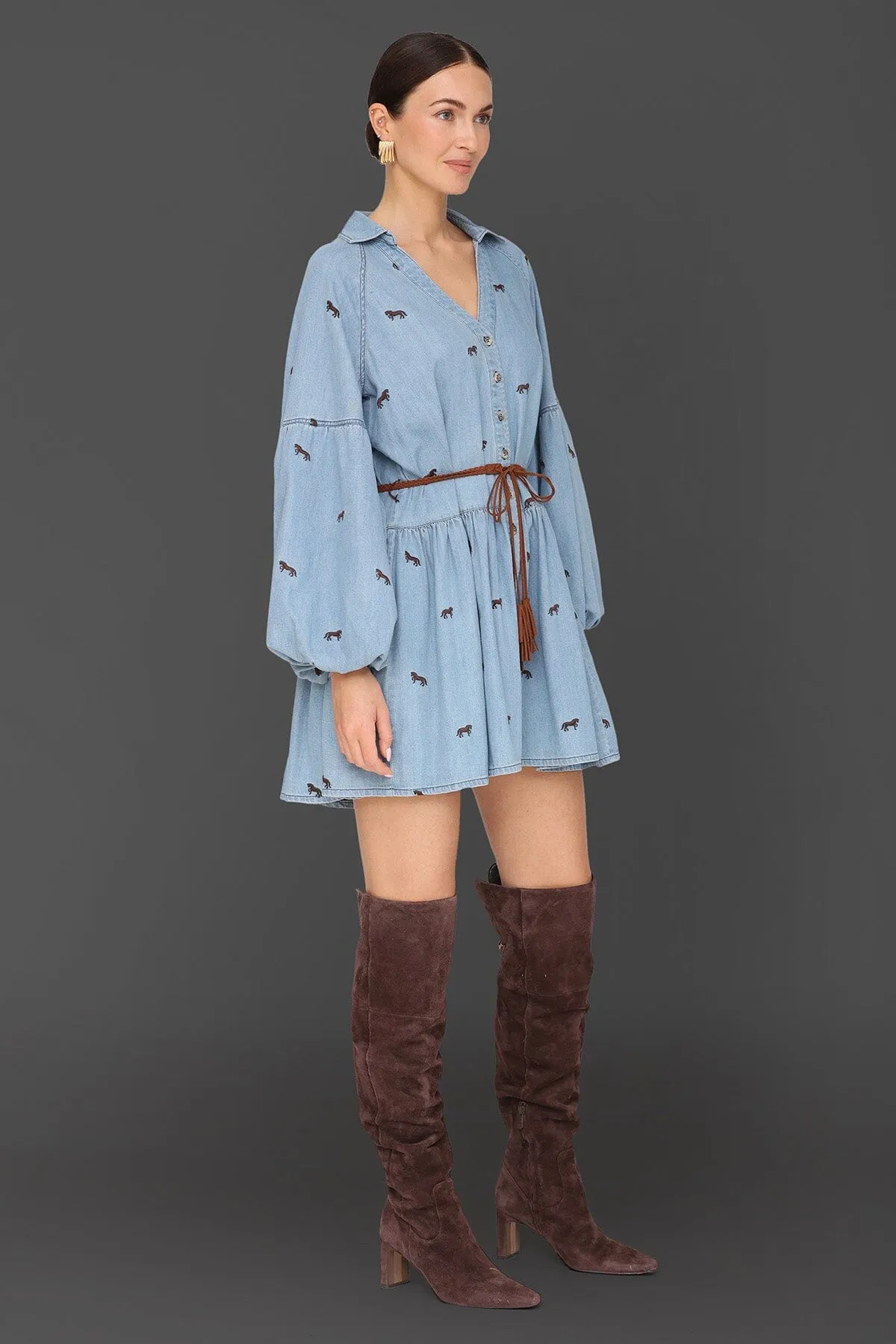 Equine Embroidered Cotton Mini Dress sold by Avec Les Filles product image thumbnail 5