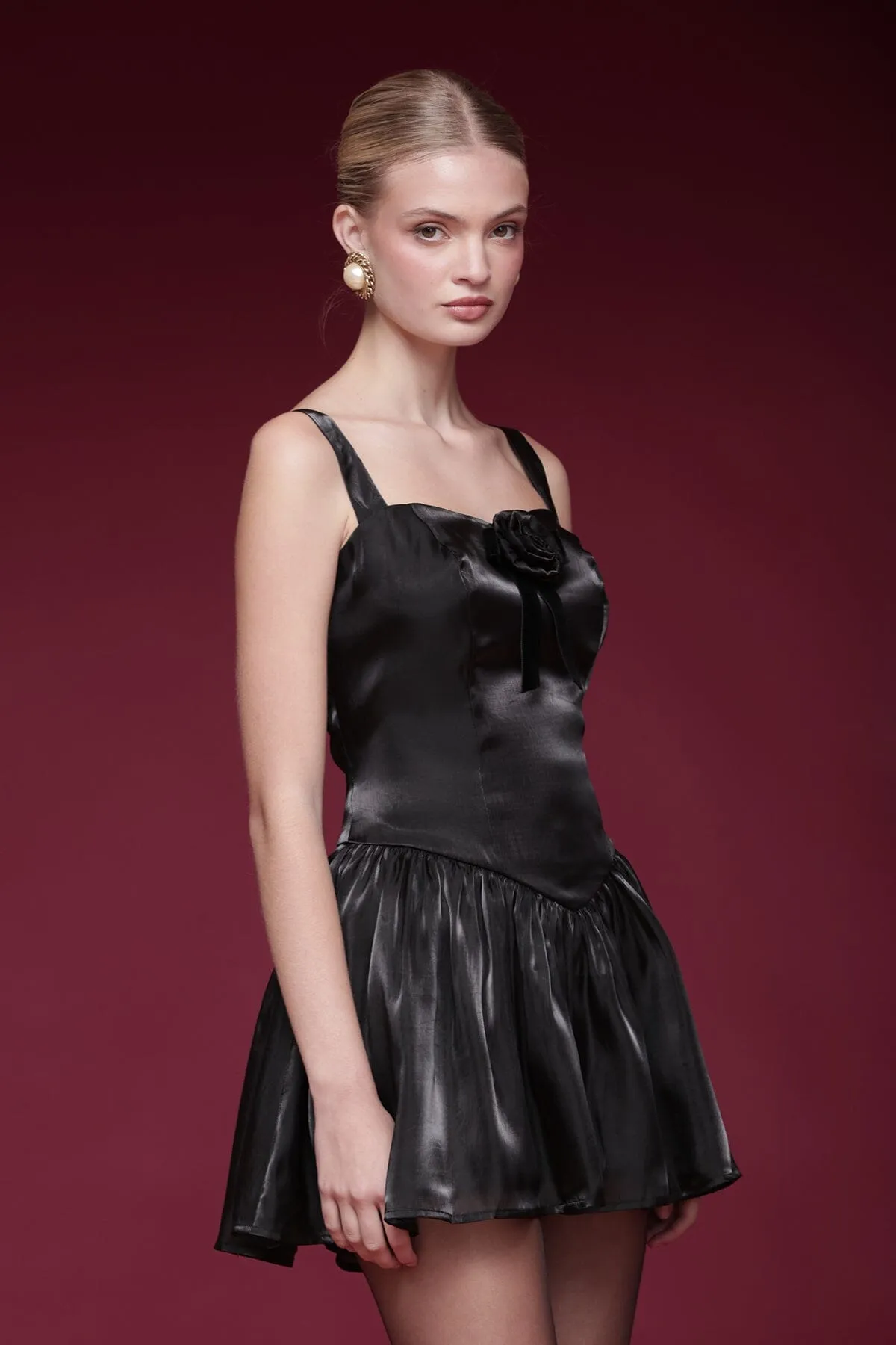 Organza Drop-Waist Mini Dress sold by Avec Les Filles product image thumbnail 5