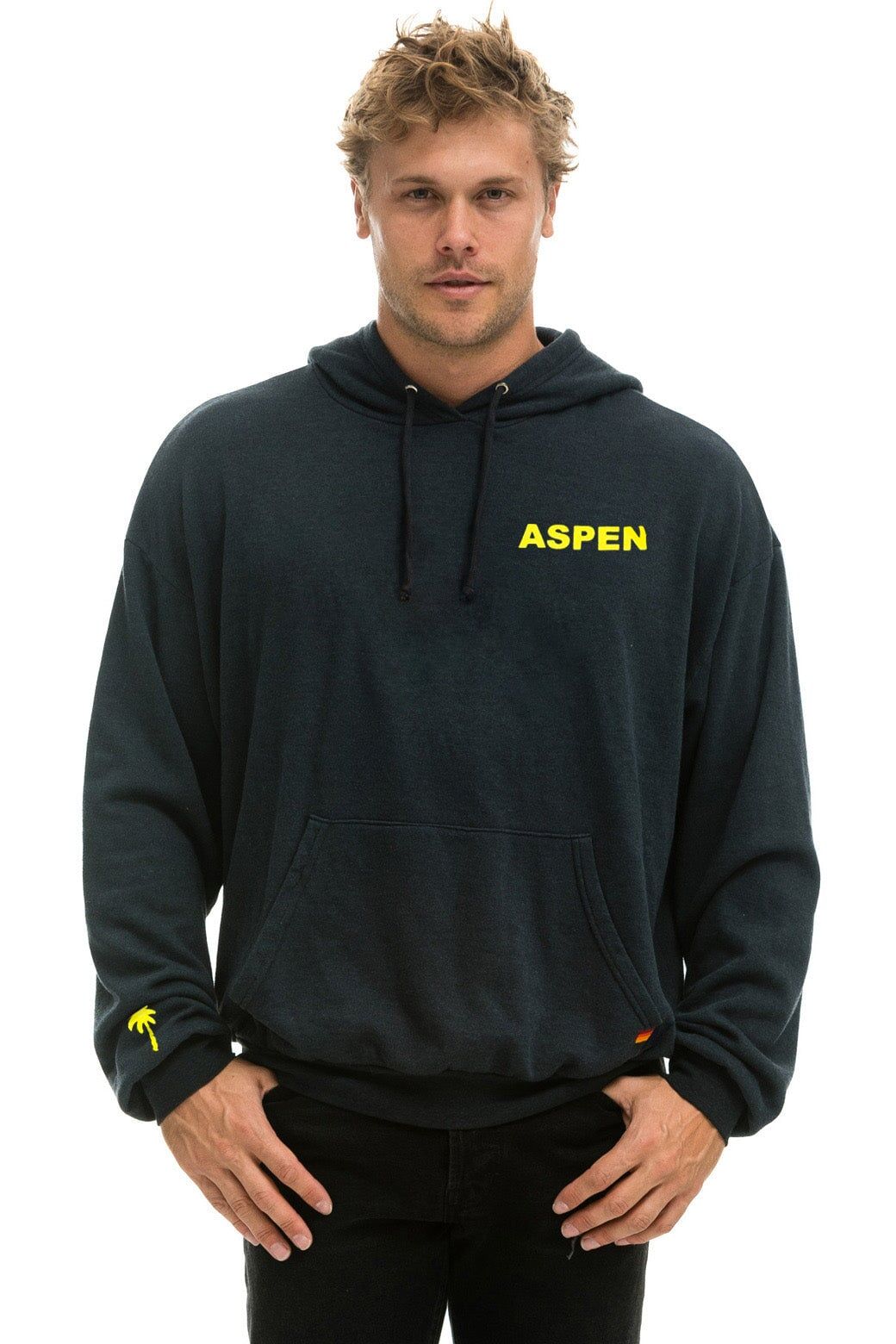 PALM TREE FESTIVAL ASPEN 2024 PULLOVER HOODIE RELAXED - CHARCOAL sold by Aviator Nation product image thumbnail 2