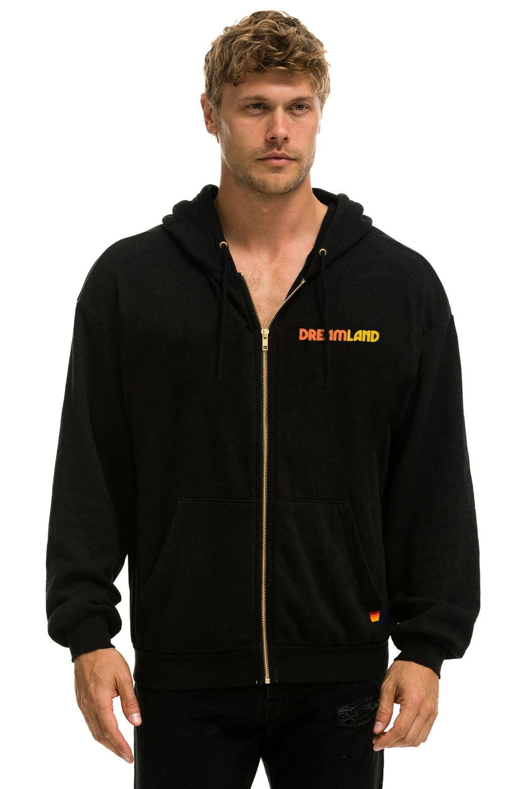 DREAMLAND TIGER RELAXED ZIP HOODIE - BLACK sold by Aviator Nation product image thumbnail 3