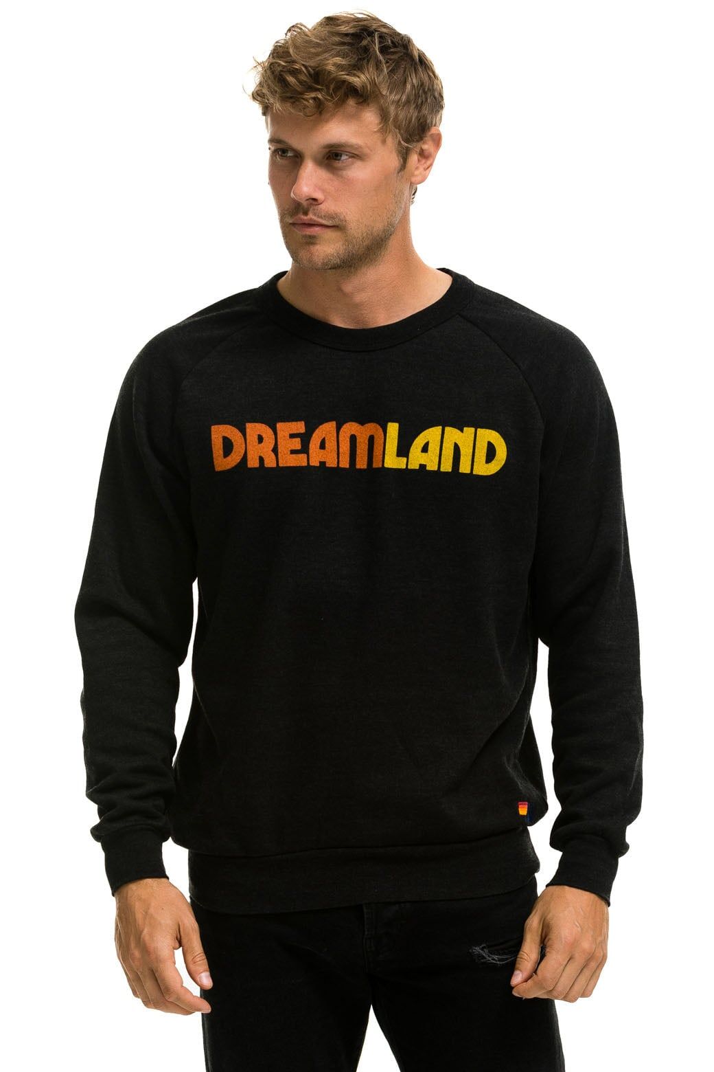 DREAMLAND LOGO SWEATSHIRT - BLACK sold by Aviator Nation product image thumbnail 3