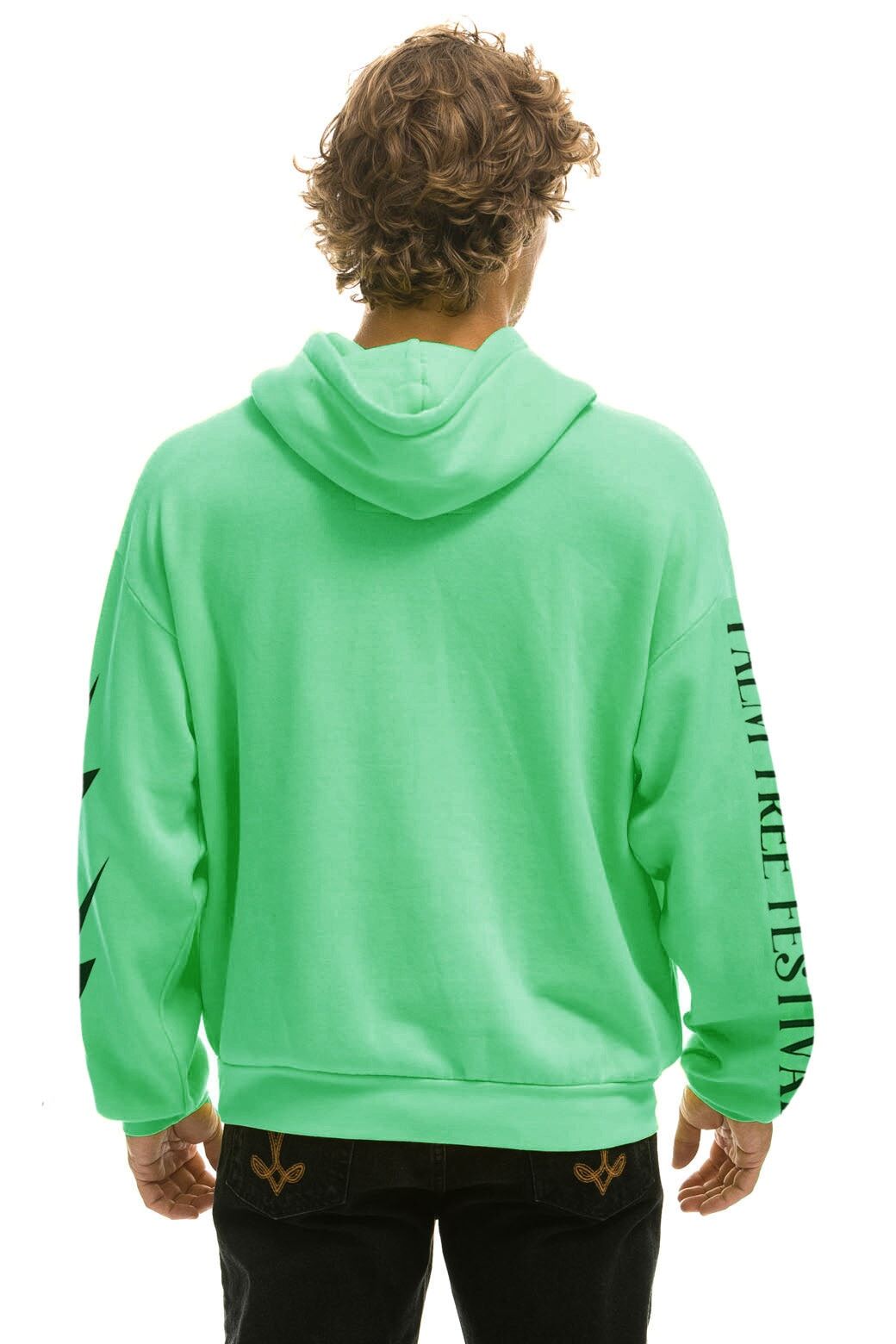 PALM TREE HAMPTONS 2023 RELAXED HOODIE - MINT sold by Aviator Nation product image thumbnail 3