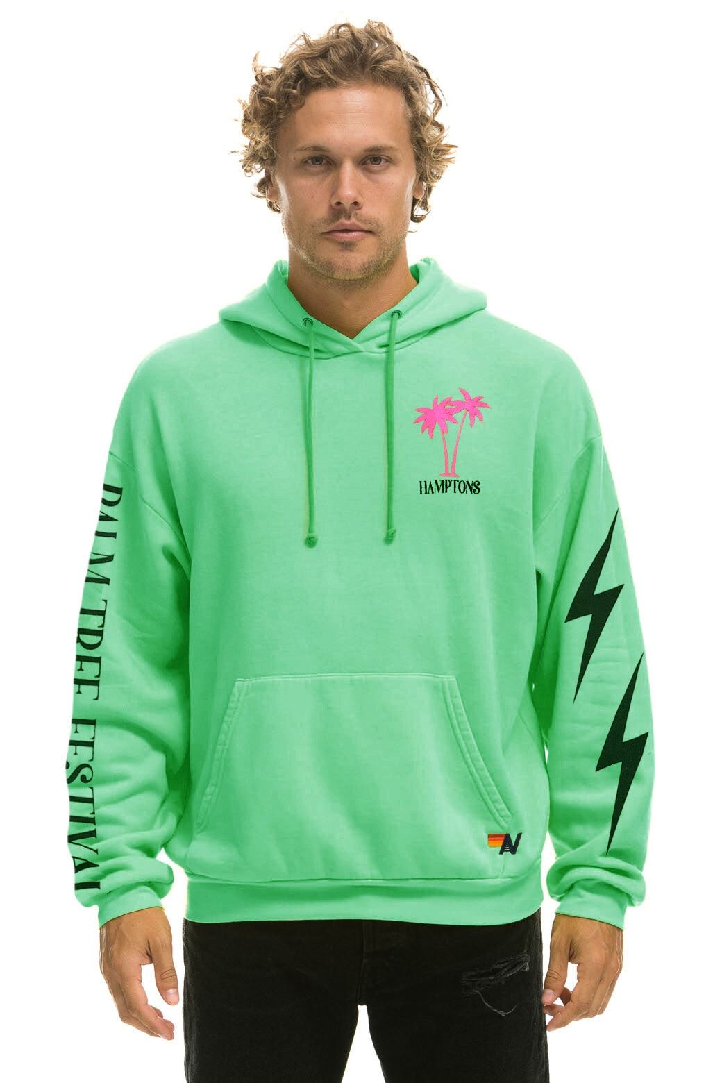 PALM TREE HAMPTONS 2023 RELAXED HOODIE - MINT sold by Aviator Nation product image thumbnail 2