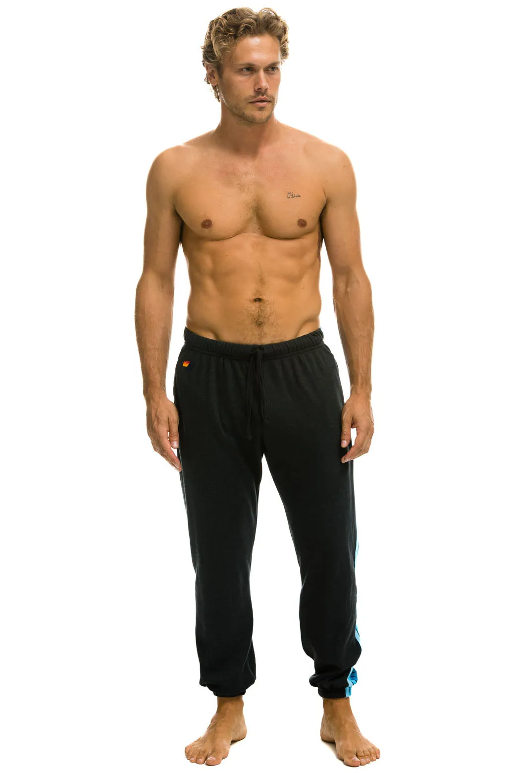 5 STRIPE SWEATPANTS - CHARCOAL // BLUE sold by Aviator Nation product image thumbnail 2