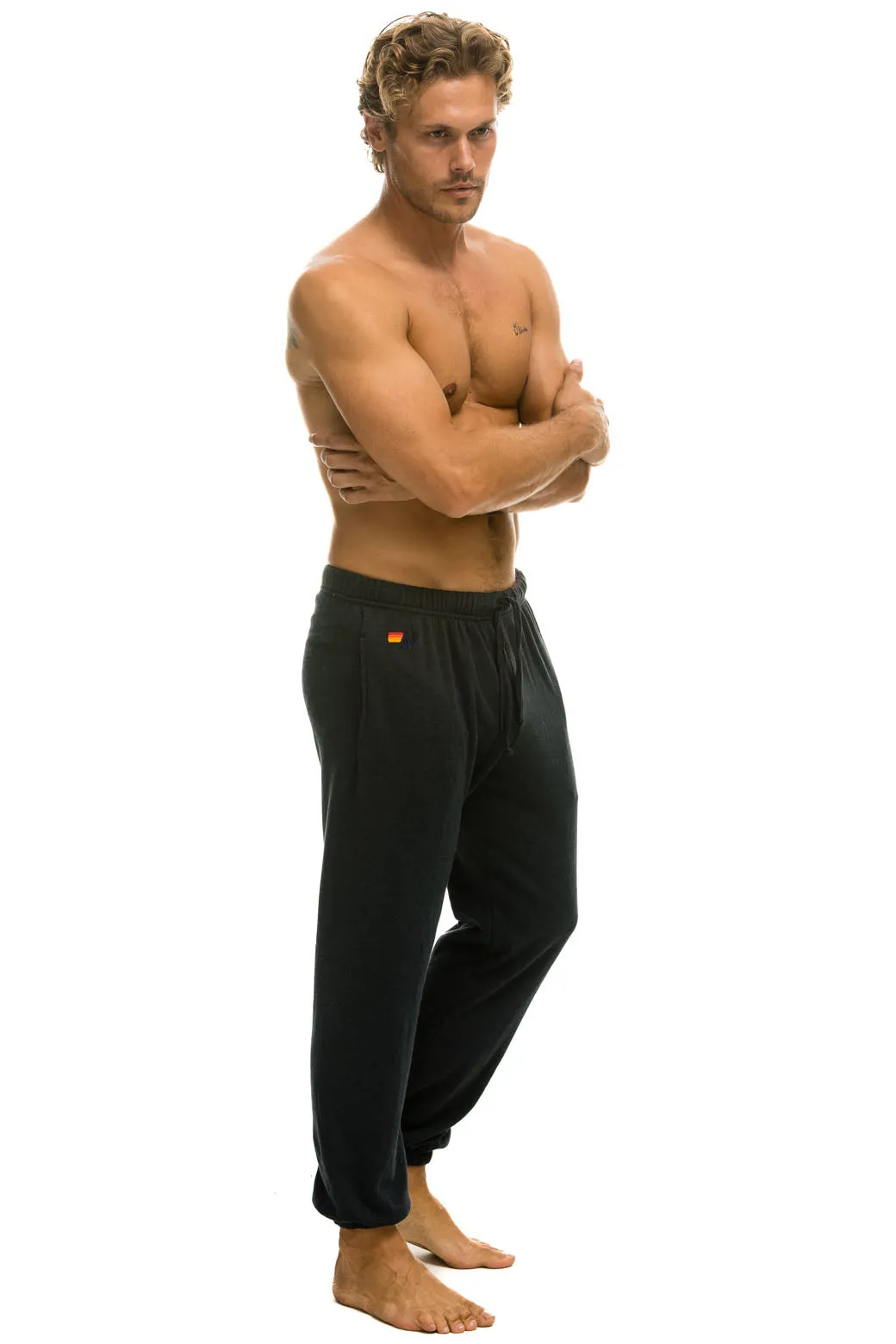 5 STRIPE SWEATPANTS - CHARCOAL // BLUE sold by Aviator Nation product image thumbnail 3