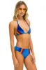 5 STRIPE VELVET TRIANGLE BIKINI TOP - ANTIGUA sold by Aviator Nation