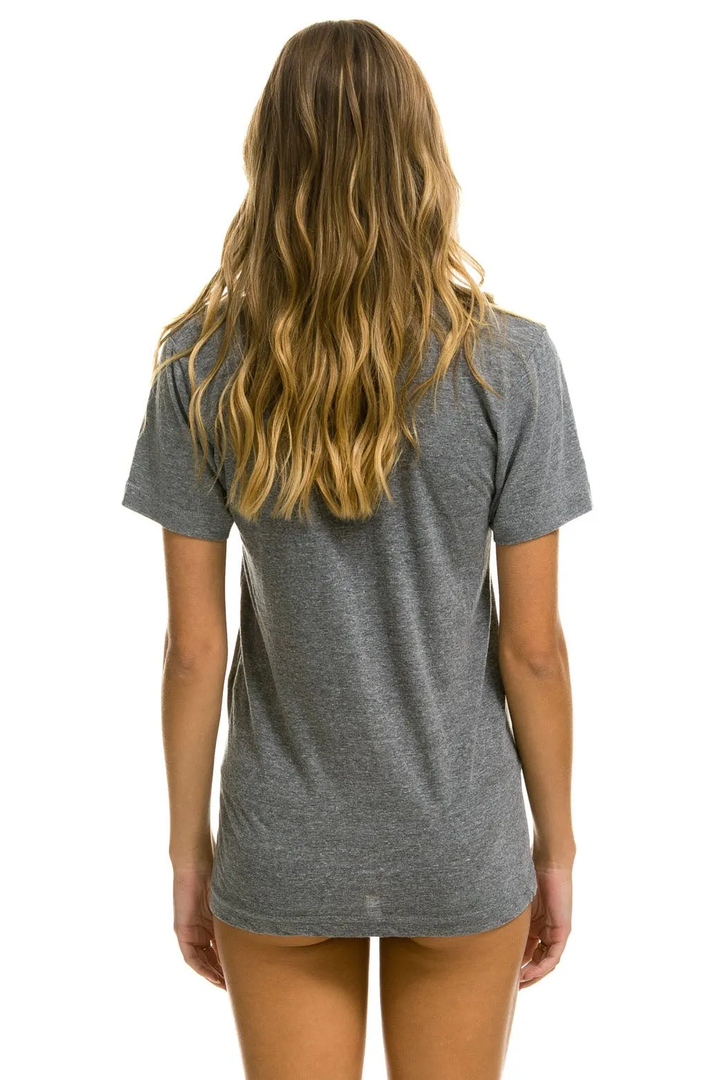 AVIATOR NATION NORTH SHORE TEE - HEATHER GREY sold by Aviator Nation product image thumbnail 4
