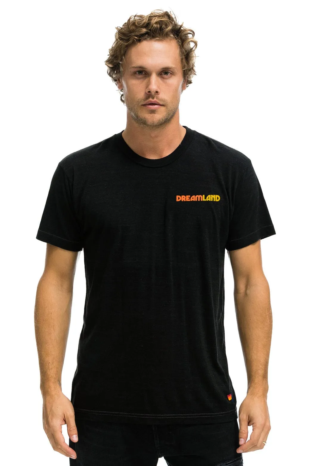DREAMLAND LOGO UNISEX CREW TEE - BLACK sold by Aviator Nation product image thumbnail 2