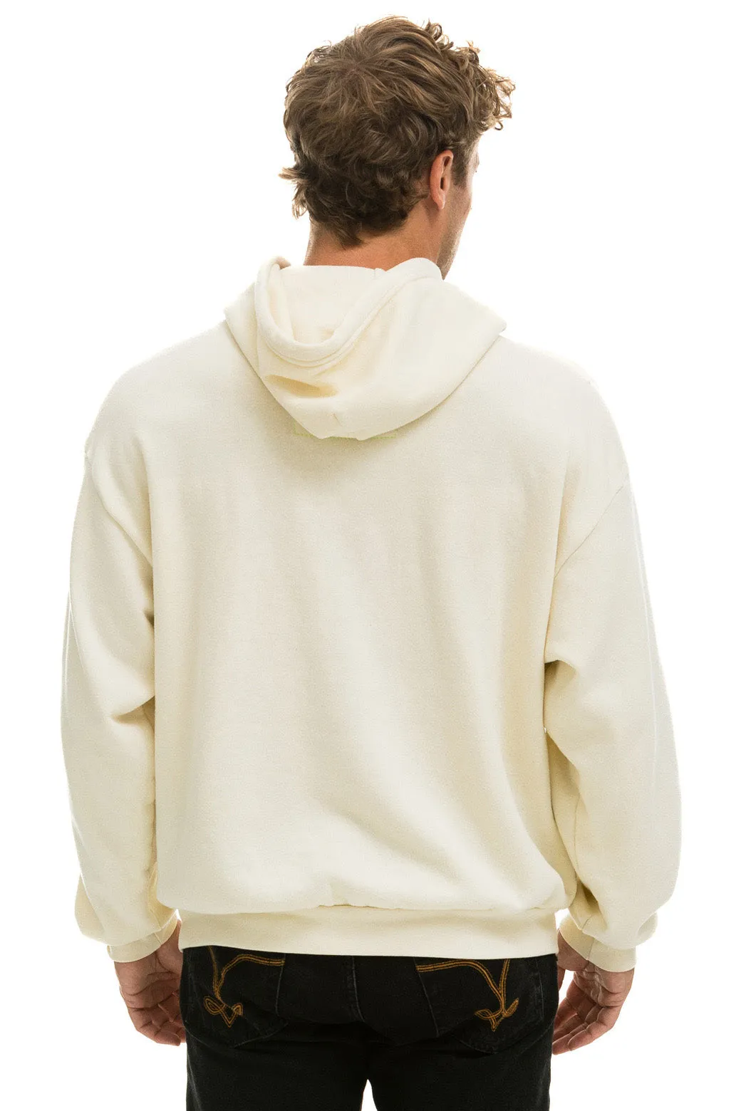 GOLDENSKY FESTIVAL 2024 PULLOVER HOODIE RELAXED - VINTAGE WHITE sold by Aviator Nation product image thumbnail 4