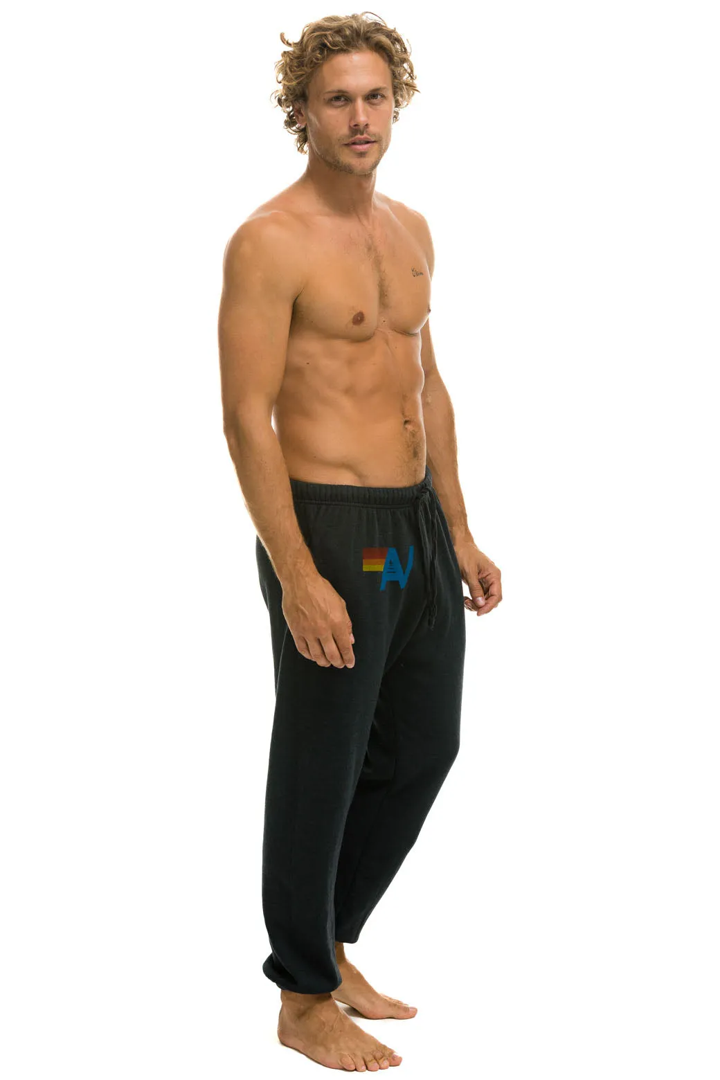 MEMBER EXCLUSIVE: LOGO SWEATPANTS - CHARCOAL sold by Aviator Nation product image thumbnail 2