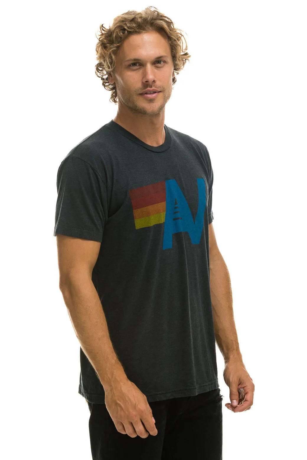 MEMBER EXCLUSIVE: LOGO TEE - CHARCOAL sold by Aviator Nation product image thumbnail 3